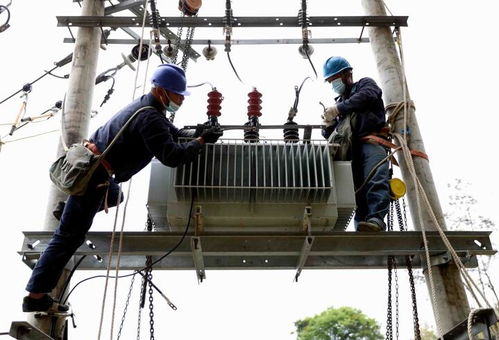 國網福安市供電公司 更換老舊綜配箱，筑牢漁民新村用電安全網